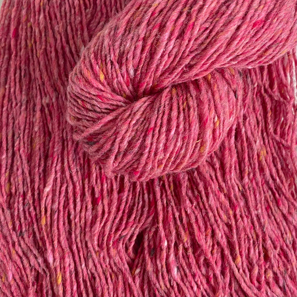 Fb. 18 Raspberry