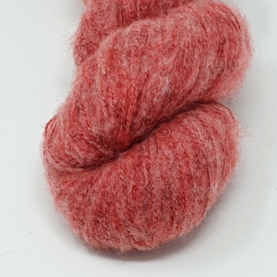 Fb. 12 Coral