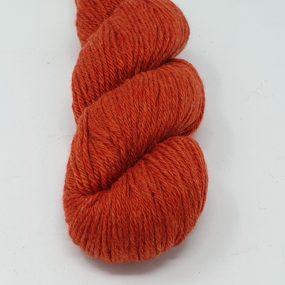Fb. P32 Sugar Maple