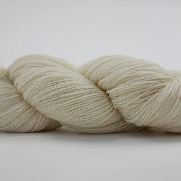 NEU: Fb. 01 Calico