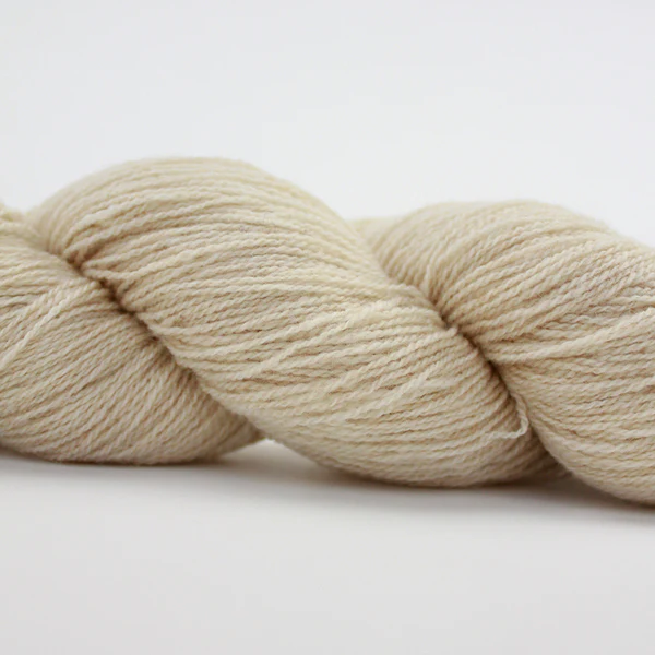 NEU: Fb. 02 Cygnet