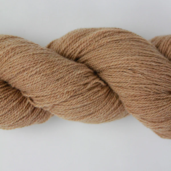 NEU: Fb. 04 Camel