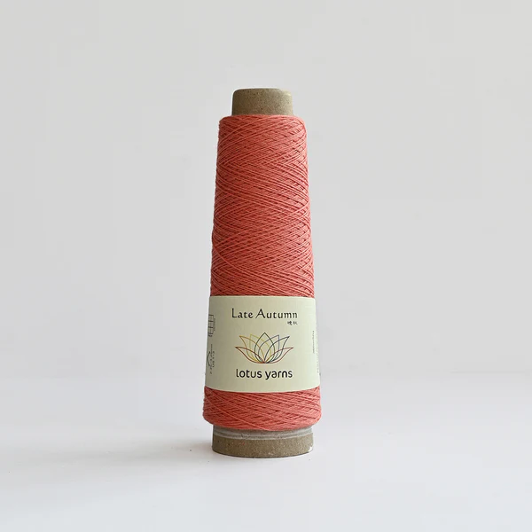 Fb. 21 Salmon