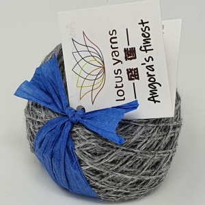 LY2019 W