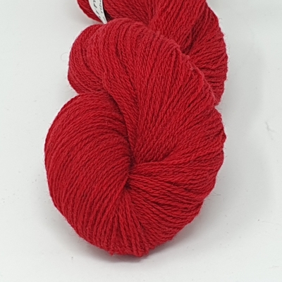 Fb. 10 Savy Red