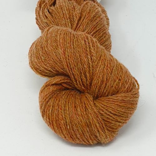 NEU: Fb. 16 Golden Nugget